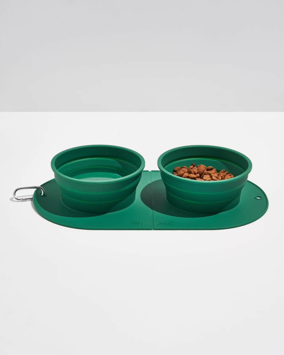 Travel Bowl Duo image 1