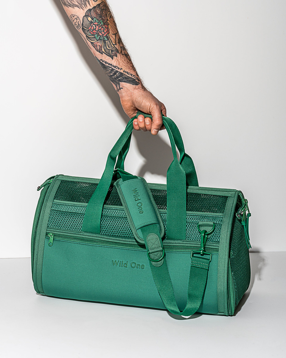 Travel Carrier image 3