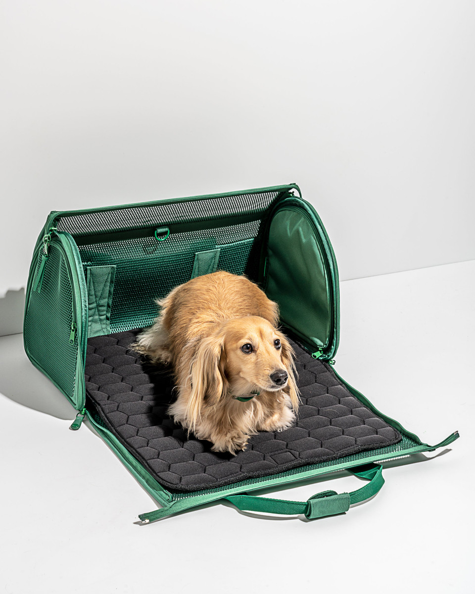 Travel Carrier image 4