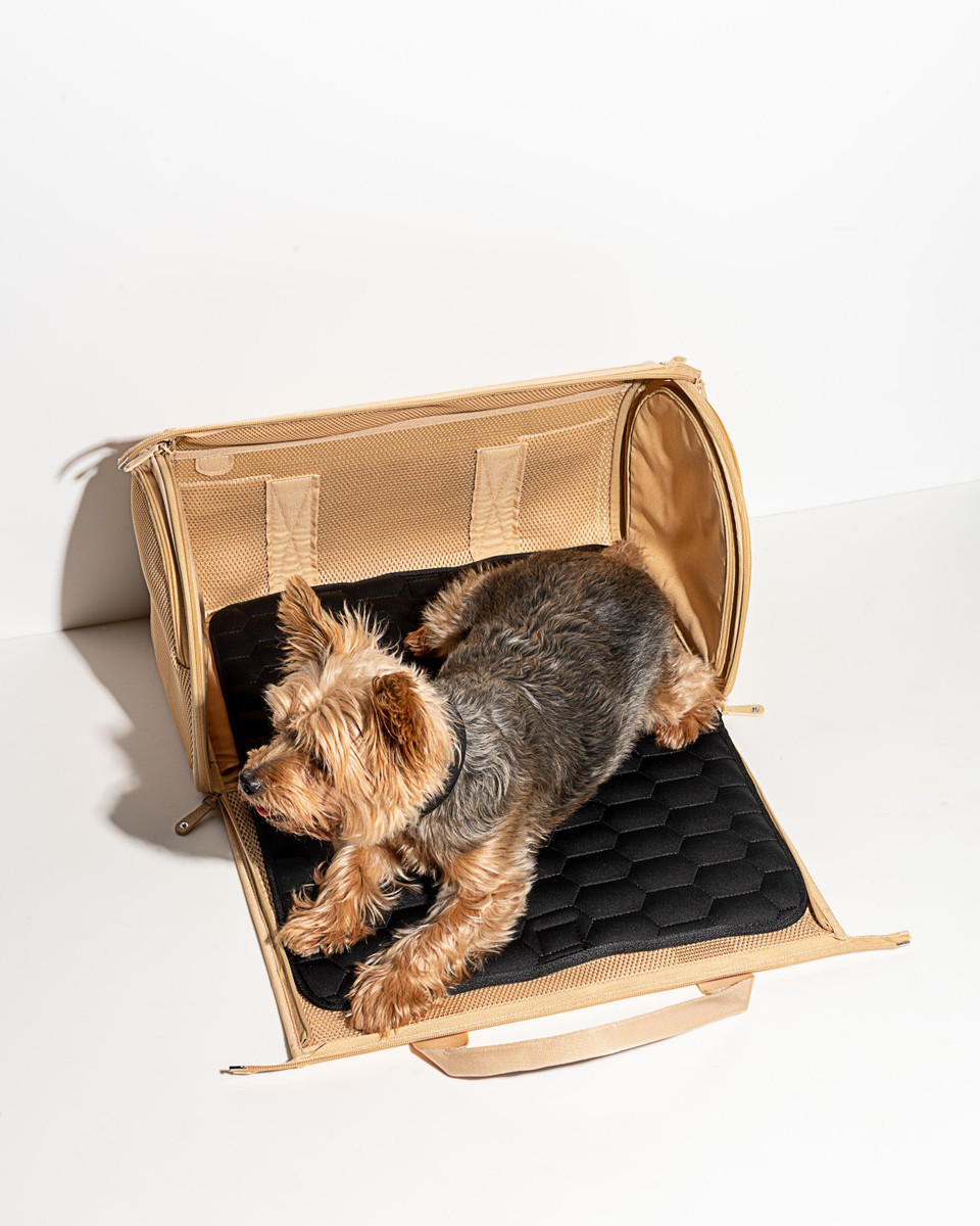 Travel Carrier image 6