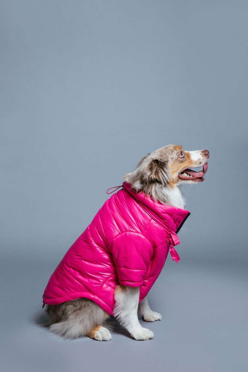 Glossy Puffer Jacket image 1