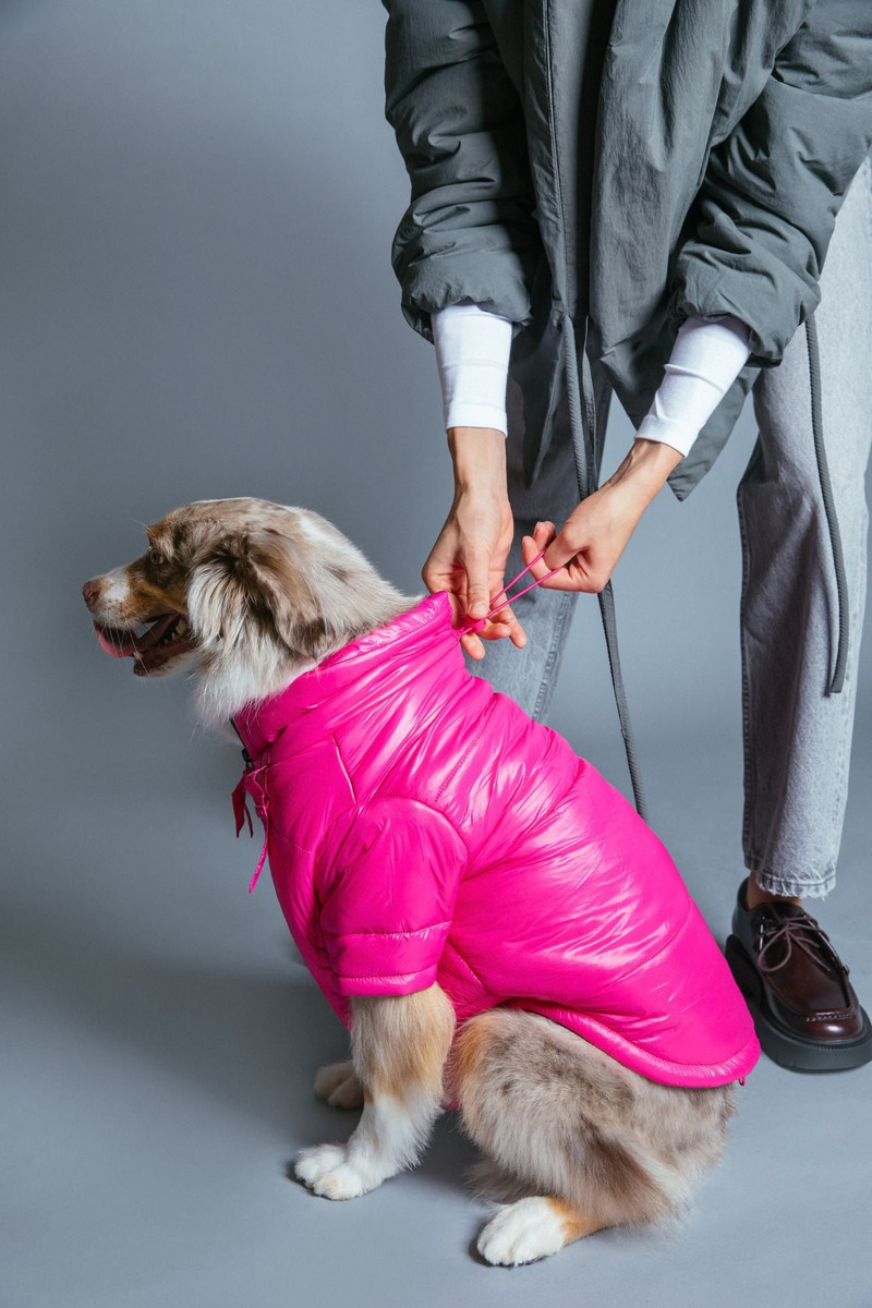 Glossy Puffer Jacket image 4