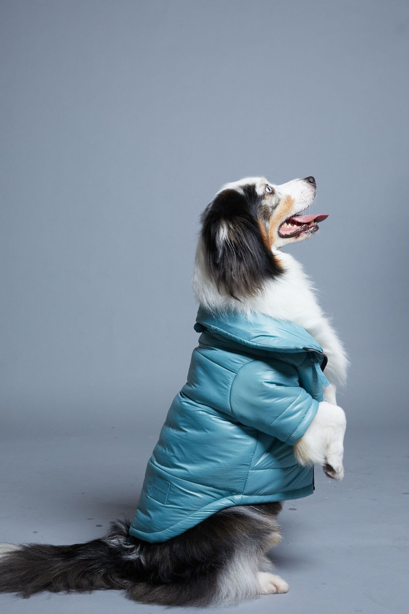Glossy Puffer Jacket image 6