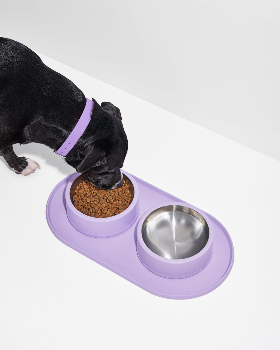 Mealtime Kit image 3