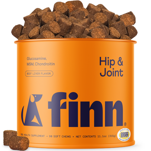 Hip & Joint