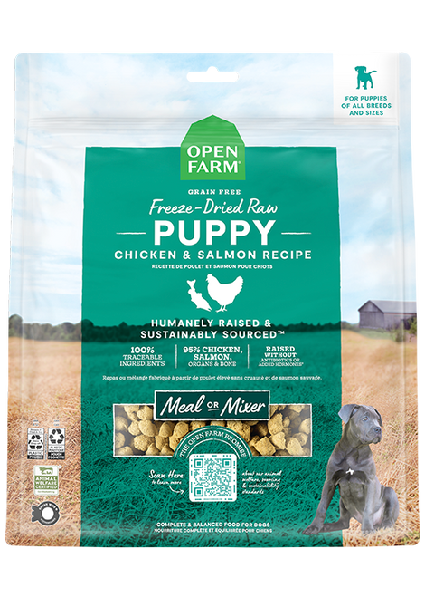 Puppy Starter Kit