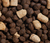 RawMix Great Plains Ancient Grains Dog Kibble