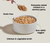 Harvest Chicken Hearty Stew Wet Dog Food