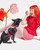 Cushioned Dog Harness