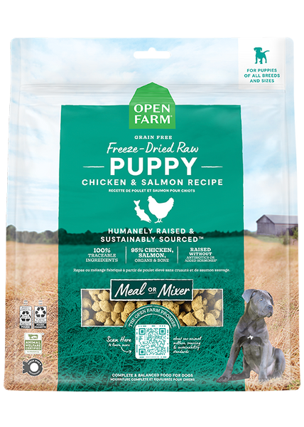 Puppy Starter Kit