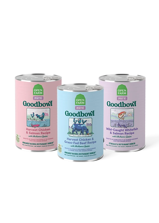 Goodbowl Variety Pack for Dogs