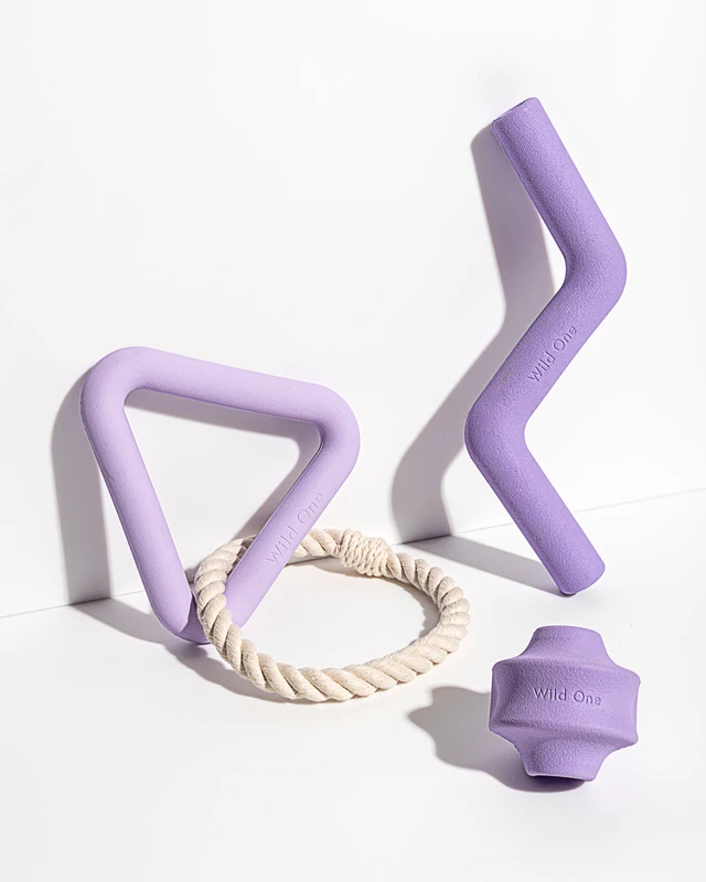 Dog Toy Kit