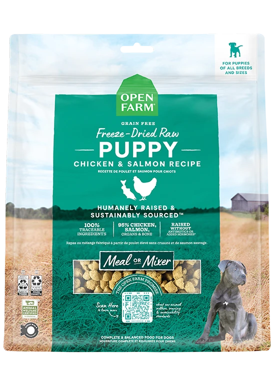 Puppy Starter Kit