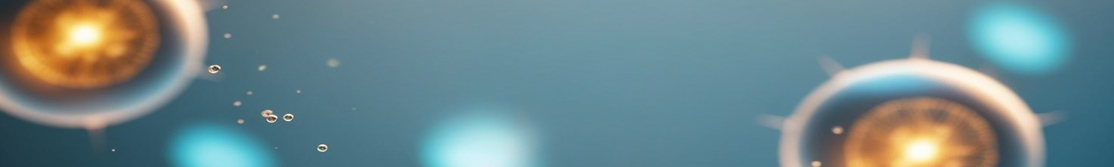 Newsletter Newsletter