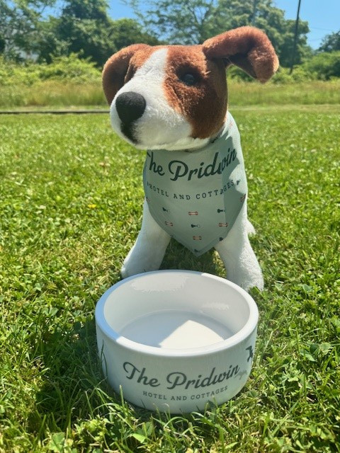Pridwin Dog Bandana