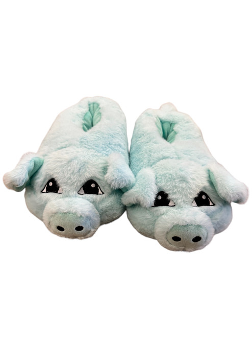 Blue Pig Youth Slippers