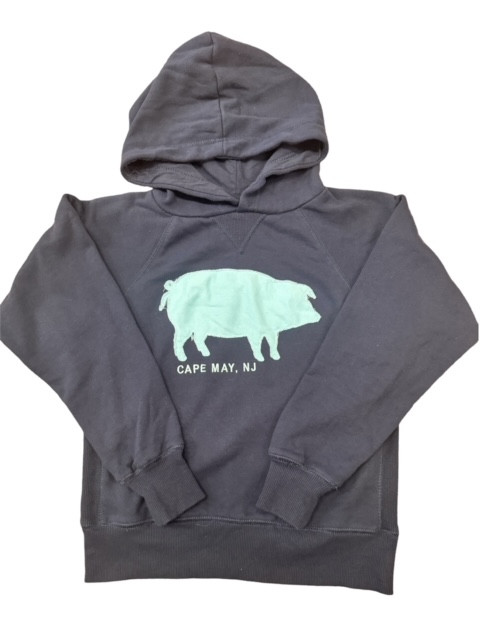 Youth Blue Pig Twill Pullover Hood
