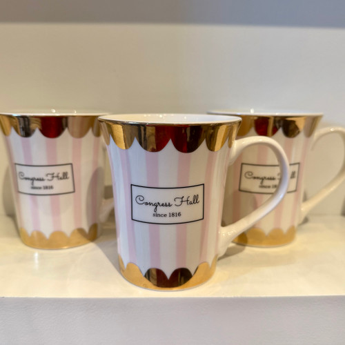 Congress Hall Striped Mug