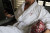 Virginia Hotel Embroidered Luxury Bath Robe