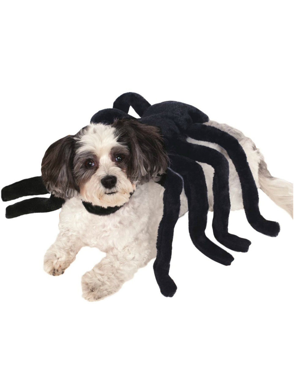 Spider Harness Pet Dog Costume