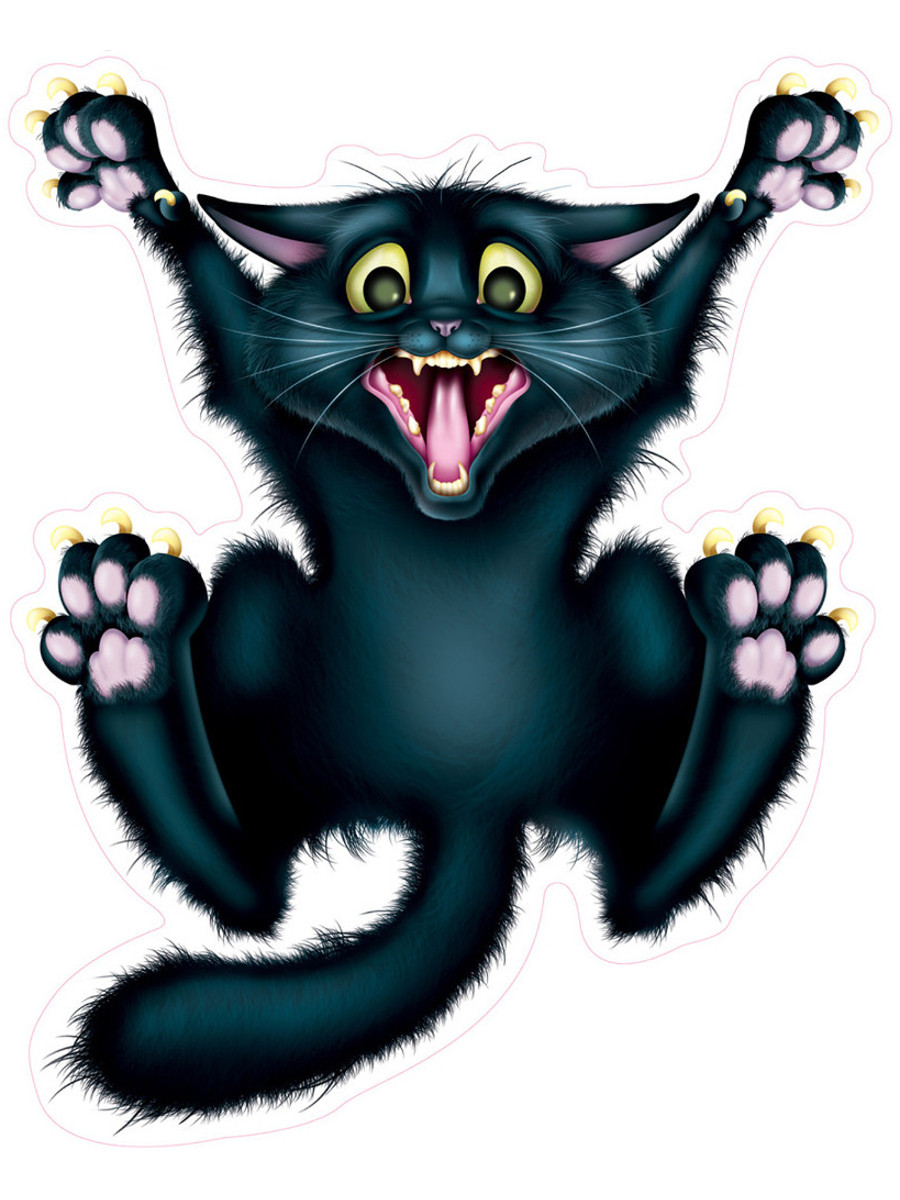 Crazy Cat Car Clings Crazy Cat Car Clings