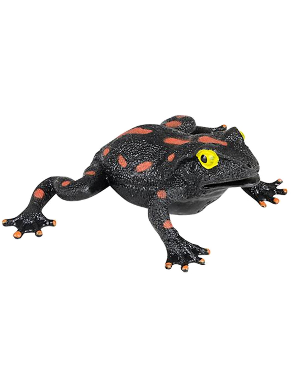 5 Black Stretch Frog