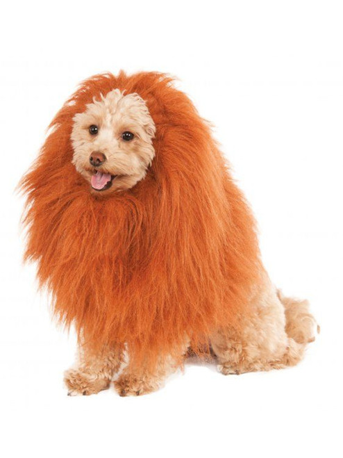 Pet Dog Lion's Mane African Zoo Animal Costume Accessory