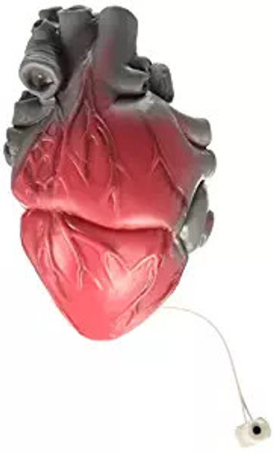 Realistic Color Changing Human Heart Decoration