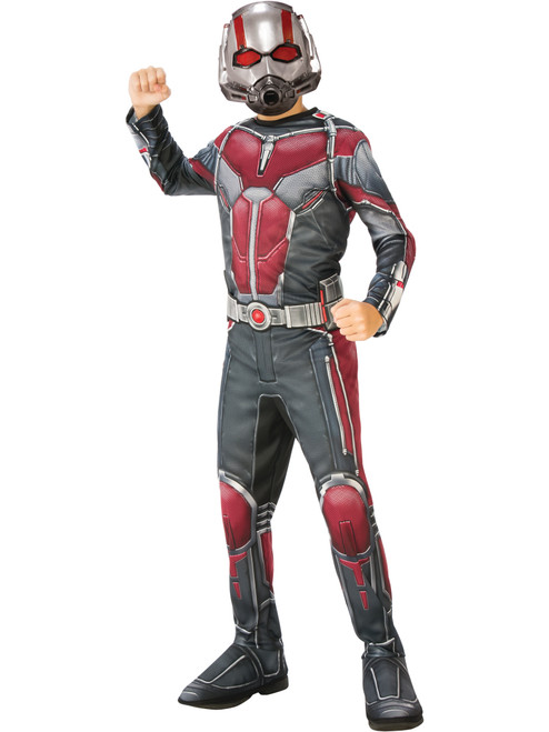 Boys Avengers Endgame Ant-Man Costume