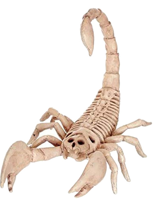 Small Scorpion Skeleton Decoration