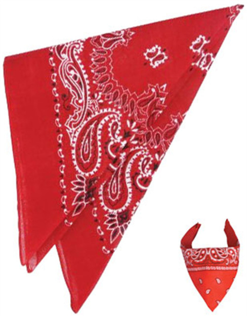 Cowboy Western Red Bandana Costume Accessory