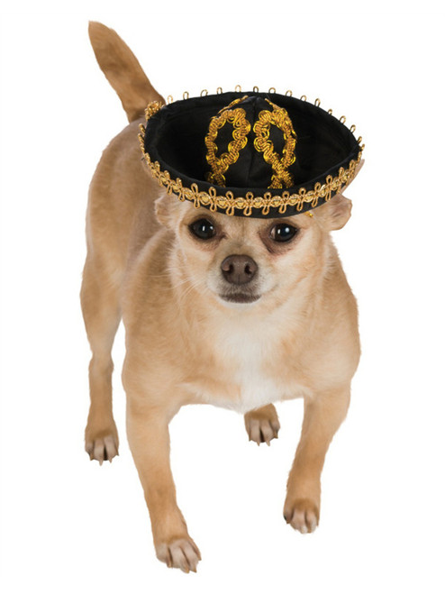 Black Gold Mexican Cinco De Mayo Day of the Dead Sombrero Hat For Pet Dog