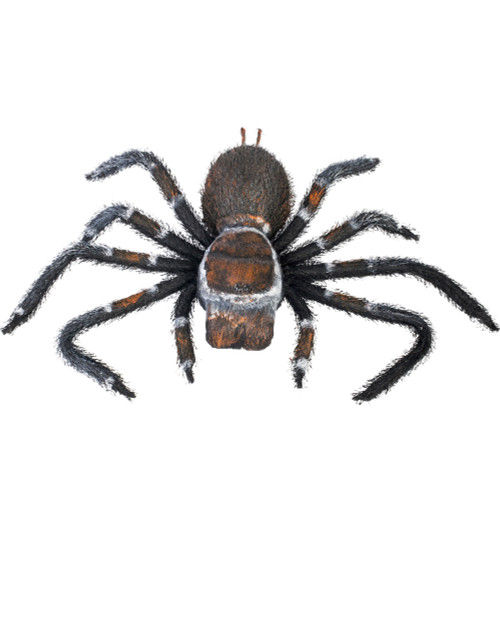 Creepy Crawler Tarantula Spider Prop Halloween Decoration