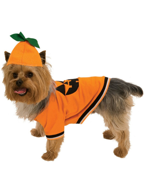 Pumpkin Dog Costume