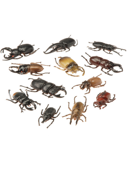 Scarab Beetles Assorted 12 Pack Fake Plastic Insect Bug Toys