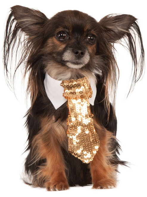 Formal Circus Clown Gold Sequin Tie Pet Collar Dog Costume Accessory