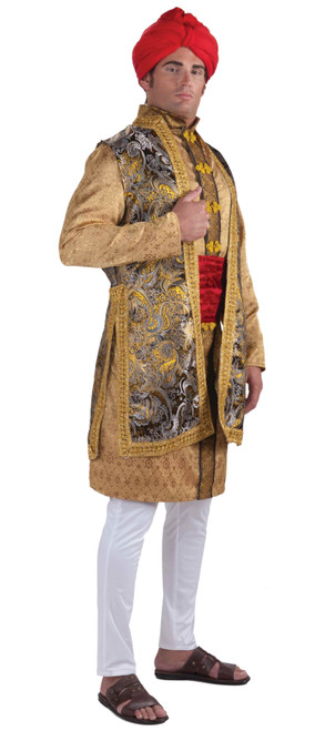 Adult's Mens Maharaja Indian Hindu Great Ruler King Costume