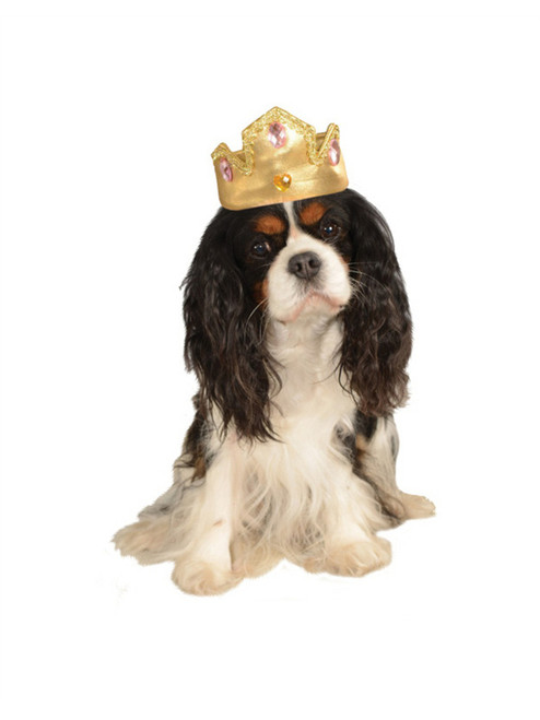 Soft Gold Princess Prince Queen King Crown Tiara Hat For Pet Dog
