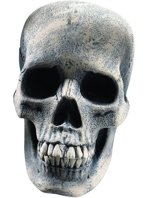 Human Skeleton Skull Head Prop Halloween Decor Decoration