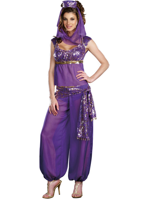 Adult's Womens Sexy Ally Kazaam Harem Arabian Dancer Girl Costume