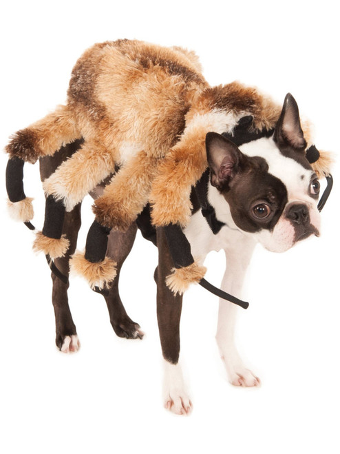 Giant Creepy Arachnid Spider For Pet Dog Costume