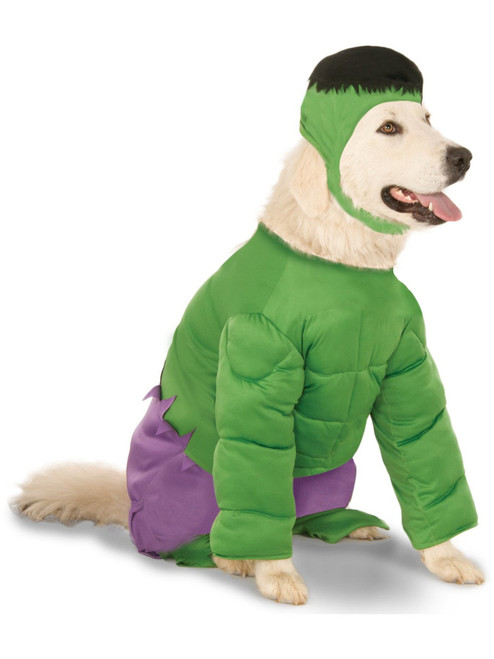 Big Dogs Marvel Avengers The Incredible Hulk Pet Dog Costume