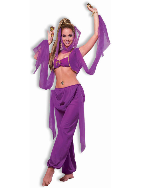 Adult's Womens Purple Desert Princess Harem Belly Dancer Girl Costume