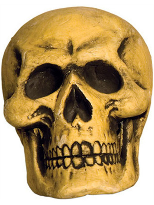 Halloween Decor Large 12" Replica Skeleton Skull Prop Decoration