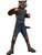 Child's Boys Deluxe Guardians Of The Galaxy Vol. 2 Rocket Raccoon Costume