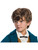 Fantastic Beasts Newt Scamander Boy's Wig Costume Accessory