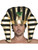 Mens Ancient Egyptian Pharoah Black And Gold Headpiece Costume Accessory