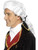 Mens White Colonial Court Judge Lawmaker Wig Costume Accessory