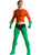 Adult's Men's DC Originals Aquaman Costume