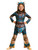 Child's Classic How To Train Your Dragon 3 Astrid Costume